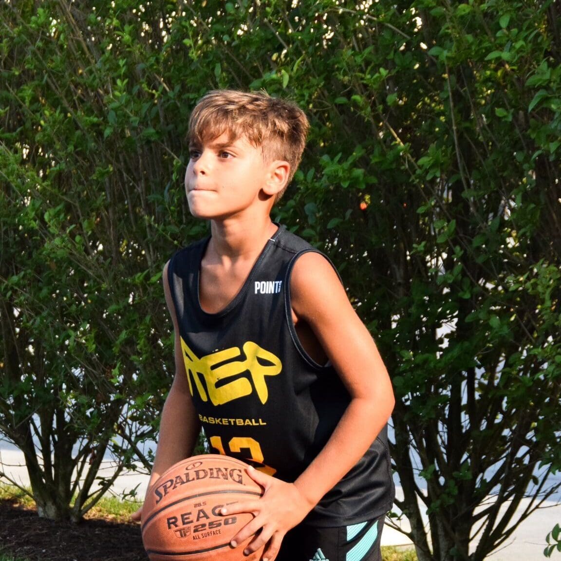 99292f85-ca6d-4384-9ff2-a332eb2474b9